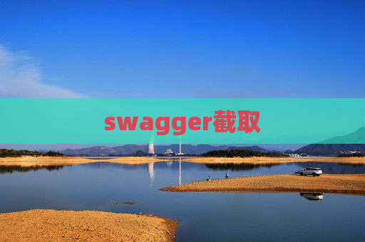 swagger截取